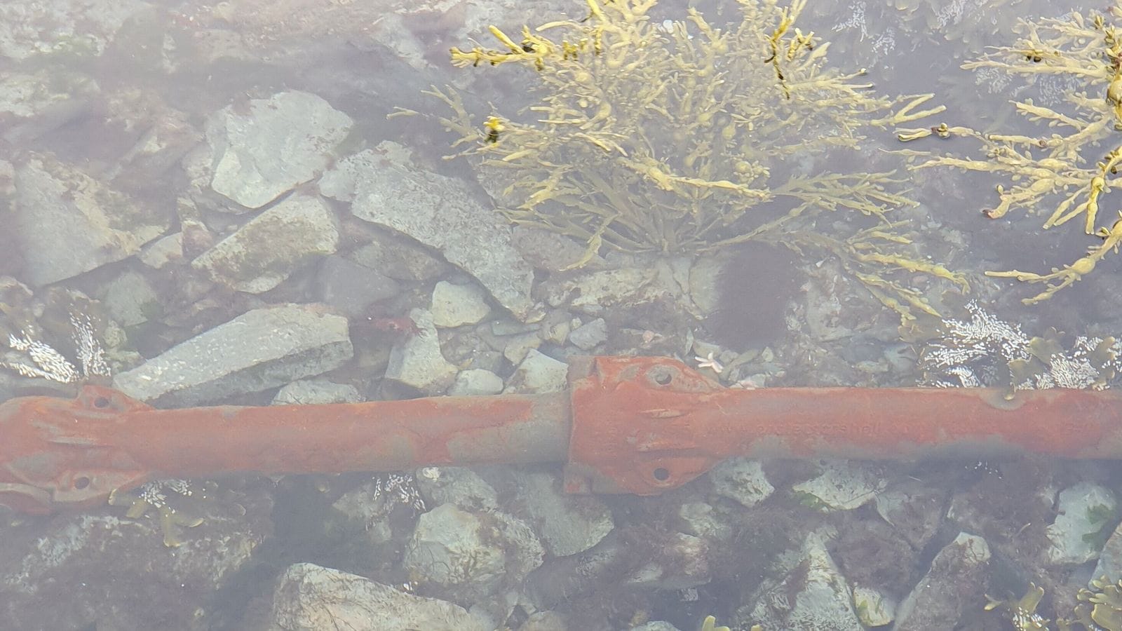 stalhlifar_Arnarfjordur
